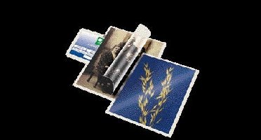 Lamineerhoes djois 225x312mm 10st