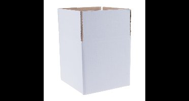 Kartonnen dozen enkelegolf 302 x 220 x 250 mm wit | 30 stuks