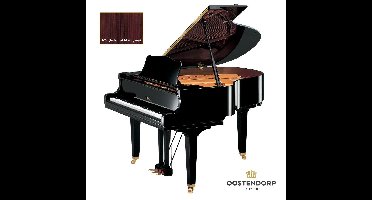 Yamaha GC1 PM messing vleugel