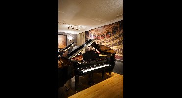 Yamaha C3SN PE messing vleugel
