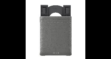Twelve South Curve Mini - iPad stand - Slate
