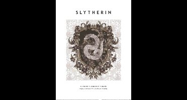 Kunstdruk Harry Potter - Slytherin 30x40cm