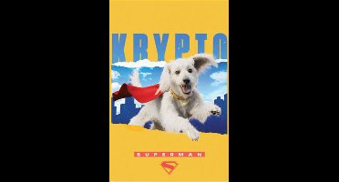 Poster Superman Krypto 61x91,5cm
