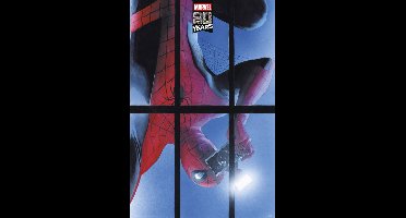 Poster Marvel - 80 Years 61x91,5cm