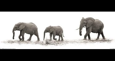 Poster Mario Moreno - The Elephants 91,5x30,5cm