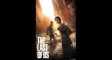 Poster PlayStation - The Last of Us 61x91,5cm