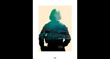 Kunstdruk Star Wars - Episode VII Poe Tri 60x80cm