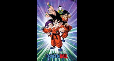 Poster Dragon Ball - Group 61x91,5cm