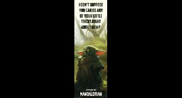 Poster Star Wars - The Mandalorian - Special Tricks 53x158cm