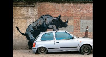 Kunstdruk Banksy - Nashorn 70x50cm