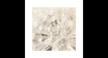 Kunstdruk Adam Brock - On the Breeze 51x51cm