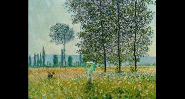 Kunstdruk Claude Monet - Felder im Frühling 90x70cm