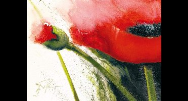 Kunstdruk Gerd Pflumm - Faszination Mohn I 80x60cm