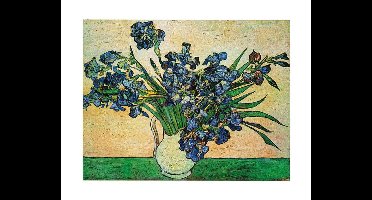 Kunstdruk Vincent Van Gogh - Iris Strauss, 1890 50x40cm