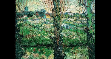 Kunstdruk Vincent Van Gogh - Blick auf Arles 80x60cm