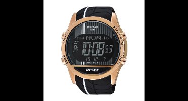 PULSAR PV4010X1 Horloge Heren 45mm