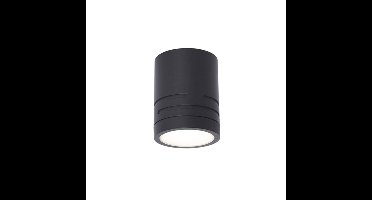 Ansell LED Downlight Reef Zwart 5W 486lm 90D - 830-840-860 CCT | 85mm - IP65 - Buitenverlichting