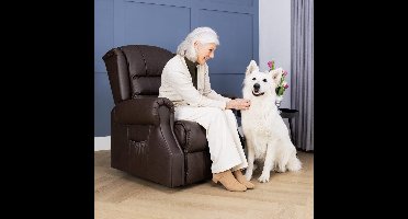 Sta-op stoel met massage- en warmtetherapie, bruin. Sta-op fauteuil met 10 massagestanden.