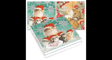 Franciens Katten Kerstkaarten