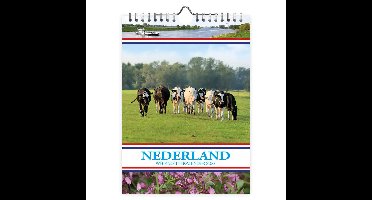 Nederland WEEKnotitiekalender Koeien 2027