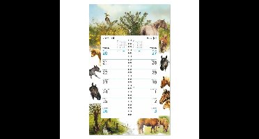 Rien Poortvliet Omlegweek Op Schild 2027 Paarden