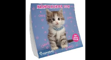 Rachael Hale Katten Kalender 2026