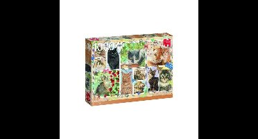 Puzzel Franciens Katten 1000 Stukjes