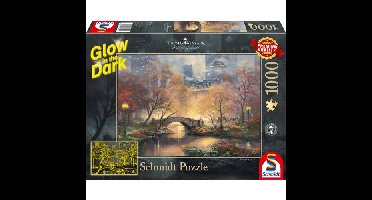 Autumn in Central Park Puzzel 1000 Stukjes