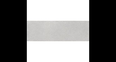 Roca Weekend FOAW0AW021 Wandtegel 300X900 Gris 10mm Mat Ret.