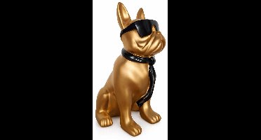 Gouden hond met zonnebril - 60 cm