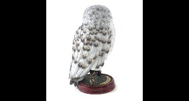 Harry Potter: Hedwig 9.5 inch Resin Sculpture