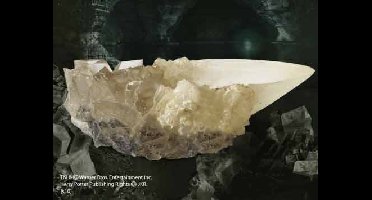 Harry Potter: The Crystal Goblet