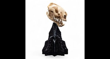 Lord of the Rings Mini Statue Skull of a Warg 20 cm