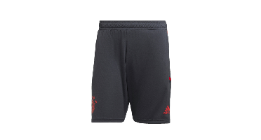 Bayern München Trainingsshort Senior 2022-2023 - Maat S - Kleur: Grijs | Soccerfanshop