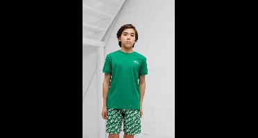 Kenzo Small Logo T-Shirt Kids Groen - Maat 11/12 jaar - Kleur: Groen | Soccerfanshop