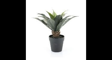 By-Boo Kunstplant Agave 35cm hoog - Groen