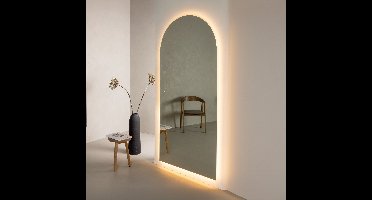 Nohr Gebogen Spiegel Daralyn Met LED-verlichting, 210 x 100cm - Zilver