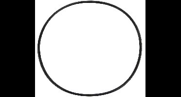 O-ring voor filterdeksel Basic zandfilterset