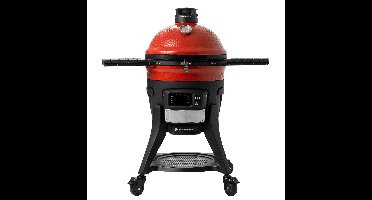 Kamado Joe Konnected Joe barbecue