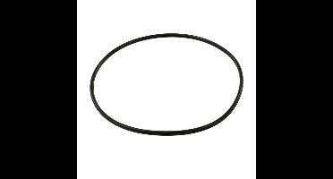O-Ring voor Mega Pool zwembadpomp