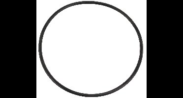O-ring voor filterdeksel Mega S450, V350, V650, FSP, FSF zandfilter