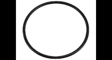 O-ring voor filterdeksel MFS en MFV zandfilter