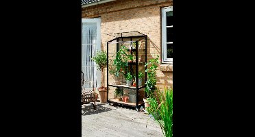 Muurkas City Garden zwart van veiligheidsglas 4mm - Royal well
