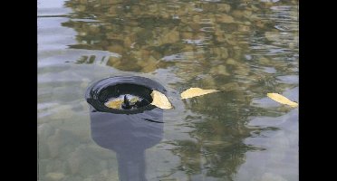 Aquaskim 40 Oase - Oase