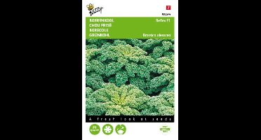 Zaden Boerenkool Reflex F1 Buzzy - Buzzy