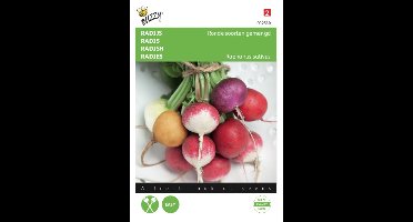 Zaden Radijs Ronde soorten gemengd Buzzy - Buzzy