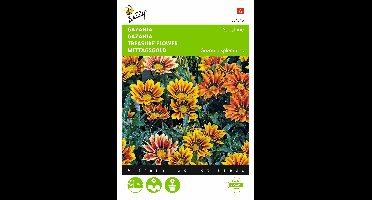 Zaden Gazania Sunshine gemengd Buzzy - Buzzy