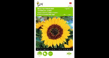 Zaden Helianthus Reuzenzonnebloem Giganteus Buzzy - Buzzy