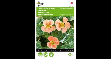 Zaden Tropaeolum Oost-indische kers Alaska TT Salmon Buzzy - Buzzy