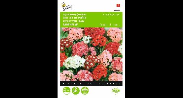 Zaden Dianthus Duizendschoon enkelbloemig gemengd Buzzy - Buzzy